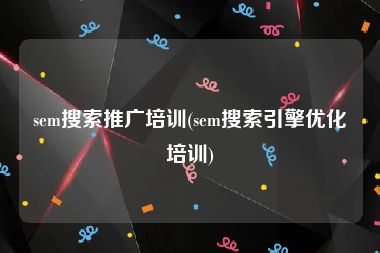 sem搜索推广培训(sem搜索引擎优化培训)