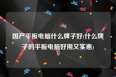国产平板电脑什么牌子好(什么牌子的平板电脑好用又实惠)