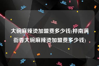 大碗麻辣烫加盟费多少钱(桦南满街香大碗麻辣烫加盟费多少钱)