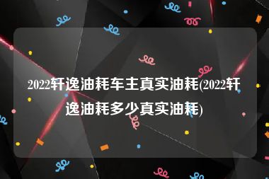 2022轩逸油耗车主真实油耗(2022轩逸油耗多少真实油耗)