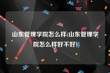 山东管理学院怎么样(山东管理学院怎么样好不好)