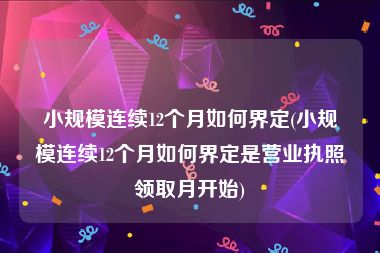 小规模连续12个月如何界定(小规模连续12个月如何界定是营业执照领取月开始)