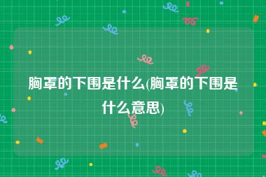 胸罩的下围是什么(胸罩的下围是什么意思)