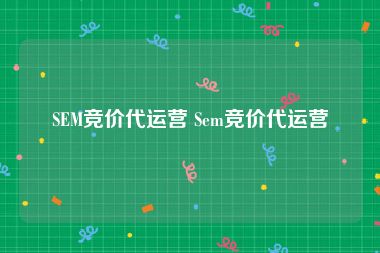 SEM竞价代运营 Sem竞价代运营