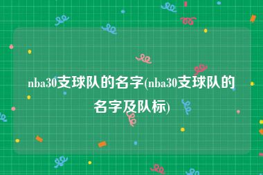 nba30支球队的名字(nba30支球队的名字及队标)