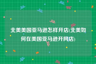 北美美国亚马逊怎样开店(北美如何在美国亚马逊开网店)