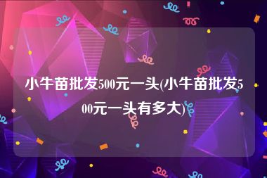 小牛苗批发500元一头(小牛苗批发500元一头有多大)