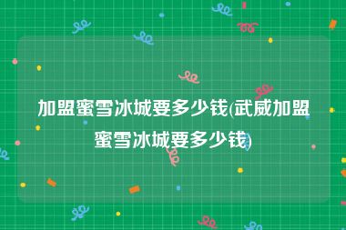 加盟蜜雪冰城要多少钱(武威加盟蜜雪冰城要多少钱)