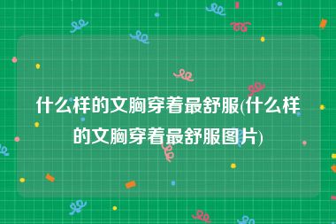 什么样的文胸穿着最舒服(什么样的文胸穿着最舒服图片)