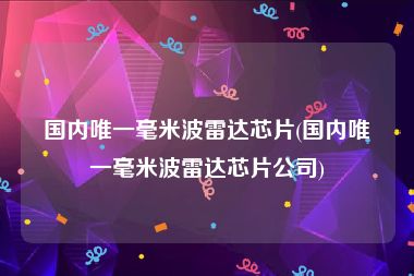 国内唯一毫米波雷达芯片(国内唯一毫米波雷达芯片公司)