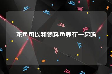龙鱼可以和饲料鱼养在一起吗