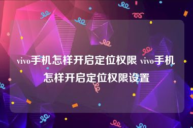 vivo手机怎样开启定位权限 vivo手机怎样开启定位权限设置