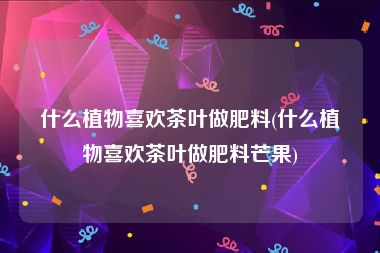 什么植物喜欢茶叶做肥料(什么植物喜欢茶叶做肥料芒果)