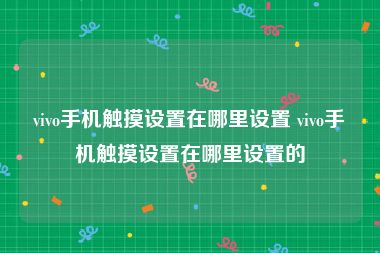 vivo手机触摸设置在哪里设置 vivo手机触摸设置在哪里设置的