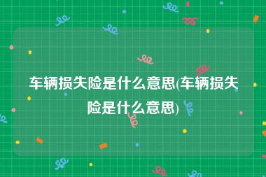 车辆损失险是什么意思(车辆损失险是什么意思)