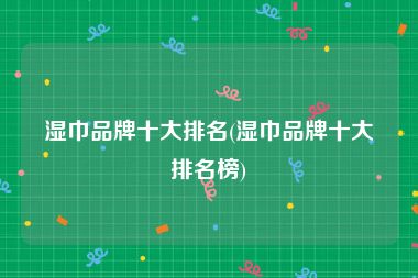 湿巾品牌十大排名(湿巾品牌十大排名榜)