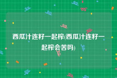 西瓜汁连籽一起榨(西瓜汁连籽一起榨会苦吗)