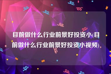 目前做什么行业前景好投资小(目前做什么行业前景好投资小视频)
