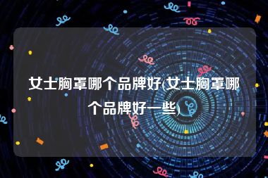 女士胸罩哪个品牌好(女士胸罩哪个品牌好一些)