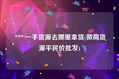  *** 一手货源去哪里拿货(微商货源平民价批发)