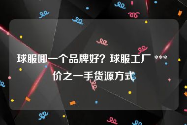 球服哪一个品牌好？球服工厂 *** 价之一手货源方式