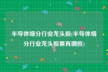 半导体细分行业龙头股(半导体细分行业龙头股票有哪些)
