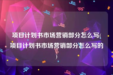项目计划书市场营销部分怎么写(项目计划书市场营销部分怎么写的)