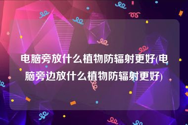电脑旁放什么植物防辐射更好(电脑旁边放什么植物防辐射更好)