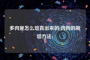 多肉是怎么培育出来的(肉肉的栽培方法)