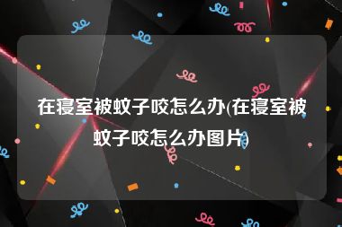 在寝室被蚊子咬怎么办(在寝室被蚊子咬怎么办图片)