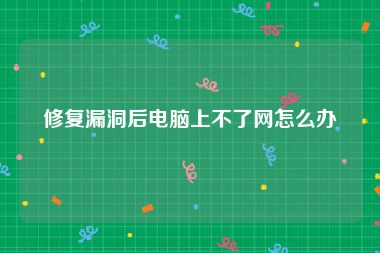 修复漏洞后电脑上不了网怎么办