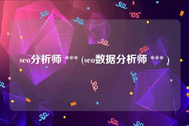 seo分析师 *** (seo数据分析师 *** )