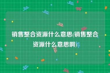 销售整合资源什么意思(销售整合资源什么意思啊)