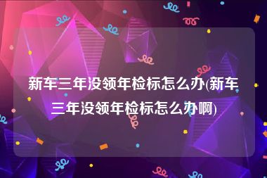 新车三年没领年检标怎么办(新车三年没领年检标怎么办啊)
