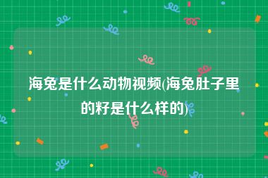 海兔是什么动物视频(海兔肚子里的籽是什么样的)