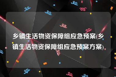 乡镇生活物资保障组应急预案(乡镇生活物资保障组应急预案方案)