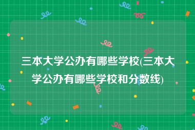 三本大学公办有哪些学校(三本大学公办有哪些学校和分数线)