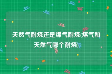 天然气耐烧还是煤气耐烧(煤气和天然气哪个耐烧)