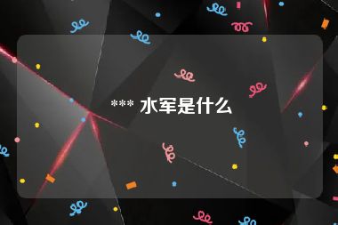  *** 水军是什么