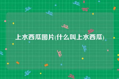 上水西瓜图片(什么叫上水西瓜)