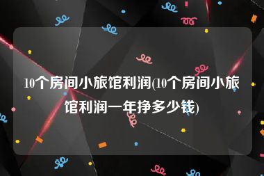 10个房间小旅馆利润(10个房间小旅馆利润一年挣多少钱)