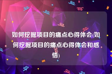 如何挖掘项目的痛点心得体会(如何挖掘项目的痛点心得体会和感悟)