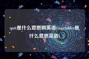 quit是什么意思啊英语(vegetables是什么意思英语)