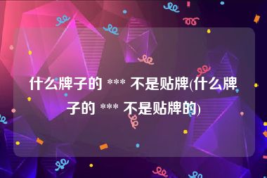 什么牌子的 *** 不是贴牌(什么牌子的 *** 不是贴牌的)
