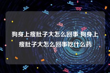 狗身上瘦肚子大怎么回事 狗身上瘦肚子大怎么回事吃什么药