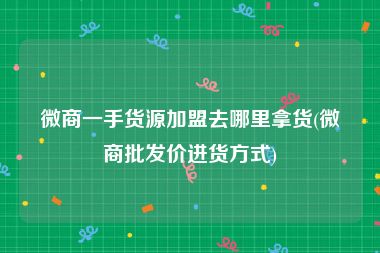 微商一手货源加盟去哪里拿货(微商批发价进货方式)