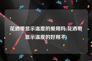 花洒带显示温度的爱用吗(花洒带显示温度的好用不)