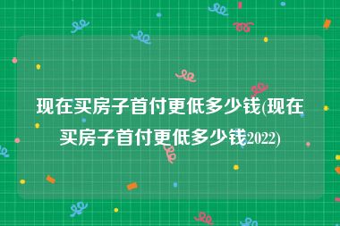 现在买房子首付更低多少钱(现在买房子首付更低多少钱2022)