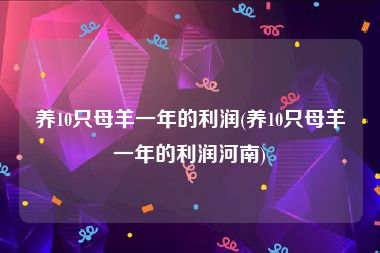 养10只母羊一年的利润(养10只母羊一年的利润河南)