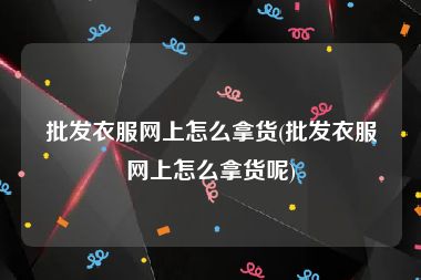 批发衣服网上怎么拿货(批发衣服网上怎么拿货呢)